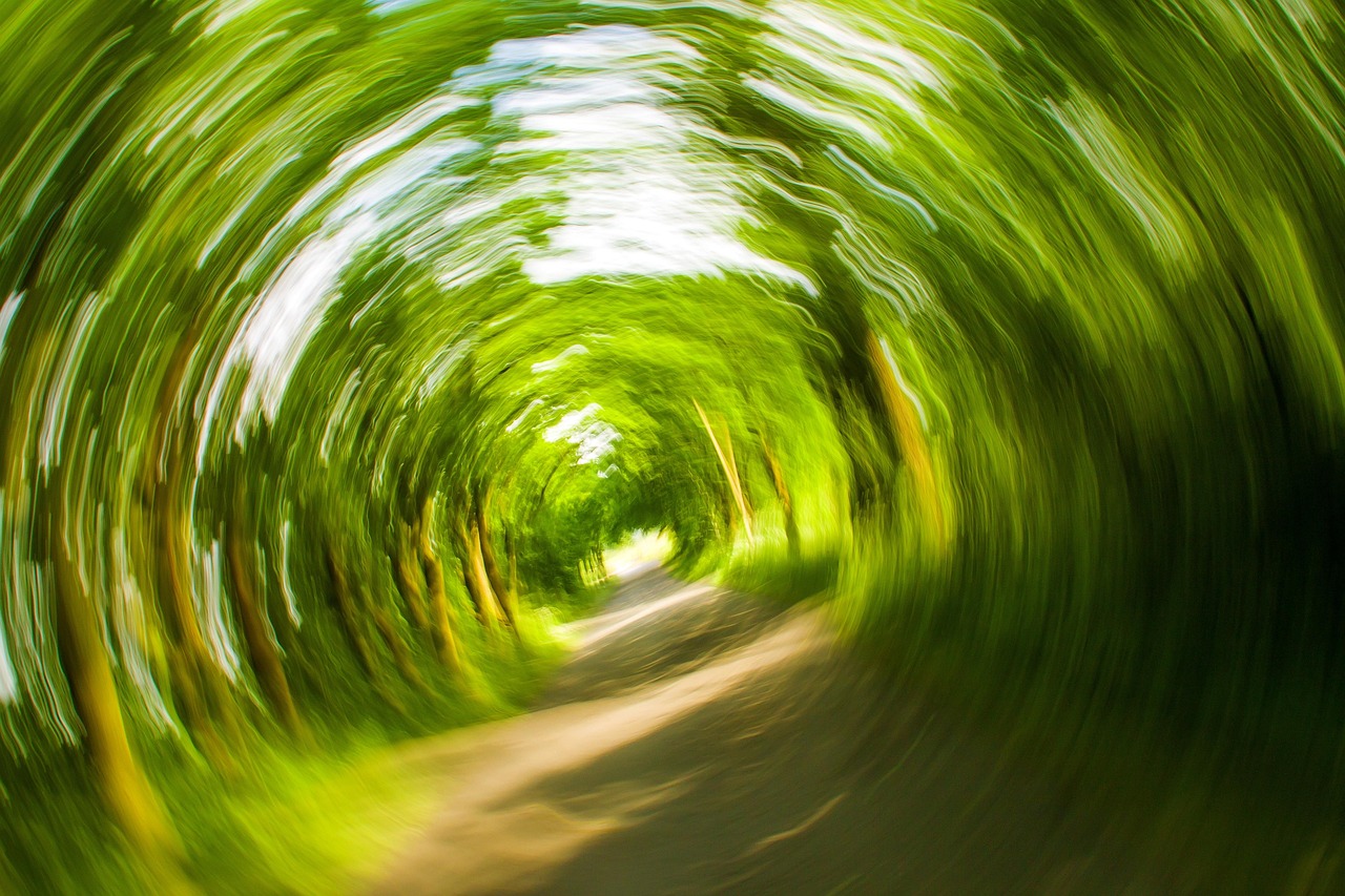 Benign Paroxysmal Positional Vertigo: What is it?